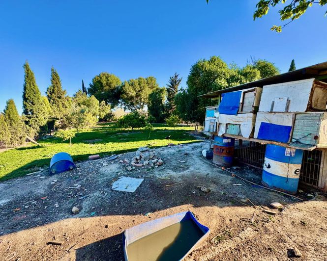 Image No.33-Villa de 4 chambres à vendre à Guardamar del Segura