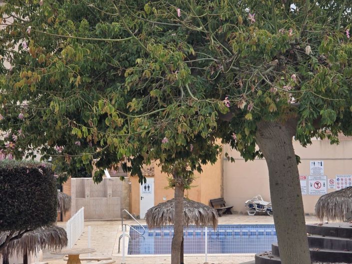 Image No.41-2 Bed Apartment for sale