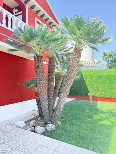 Image No.21-5 Bed Villa for sale