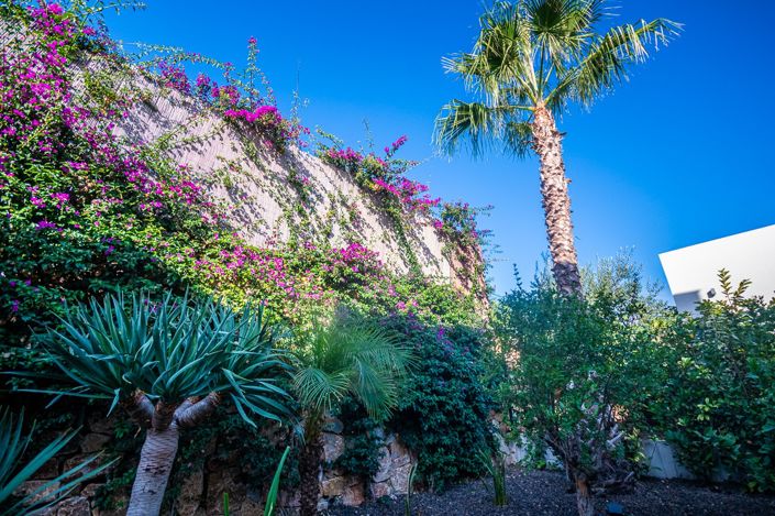 Image No.16-2 Bed Villa for sale