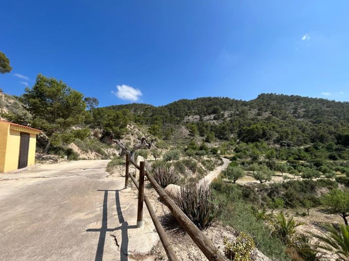 Image No.9-3 Bed Villa for sale