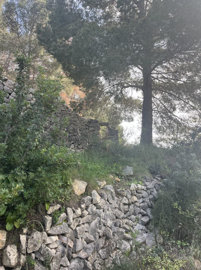 land-plots-benissa-j003-8