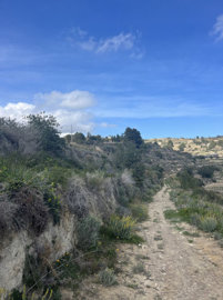 land-plots-benissa-j003-15