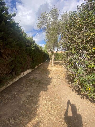 Image No.27-Villa de 4 chambres à vendre à Los Balcones