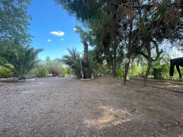 Image No.26-Villa de 3 chambres à vendre à Albatera