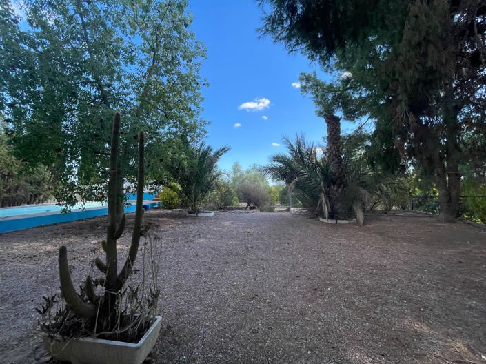 Image No.27-Villa de 3 chambres à vendre à Albatera