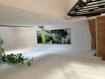 o1j8jls1l15an1rnr1toc562krm32