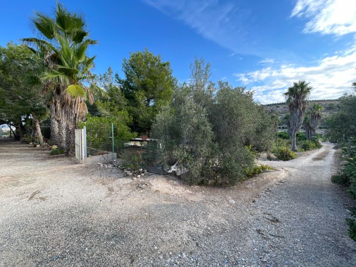 Image No.3-Villa à vendre à Jacarilla