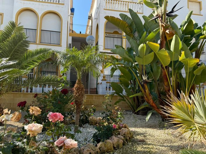 Image No.18-Appartement de 3 chambres à vendre à Torrevieja