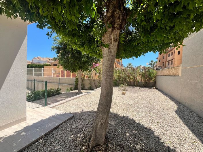 Image No.30-Appartement de 3 chambres à vendre à Torrevieja