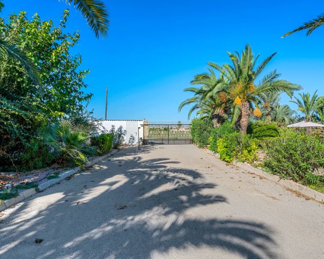 Image No.45-Villa de 10 chambres à vendre à Los Montesinos