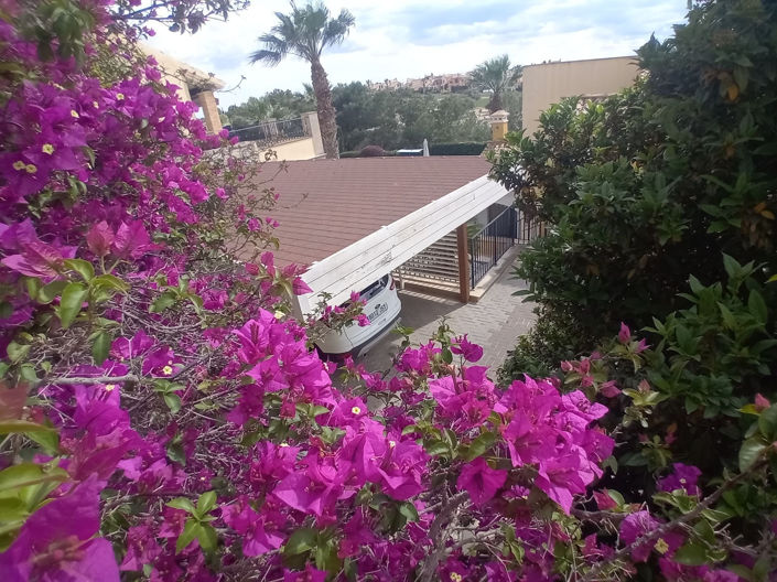 Image No.42-Villa de 4 chambres à vendre à Algorfa