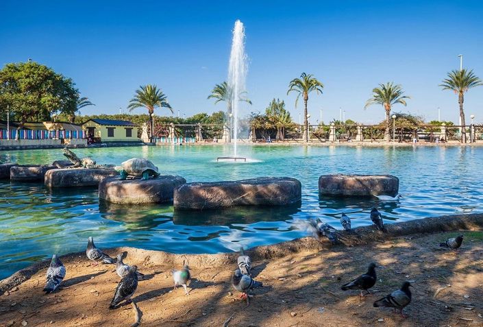 Image No.13-Appartement de 1 chambre à vendre à Torrevieja