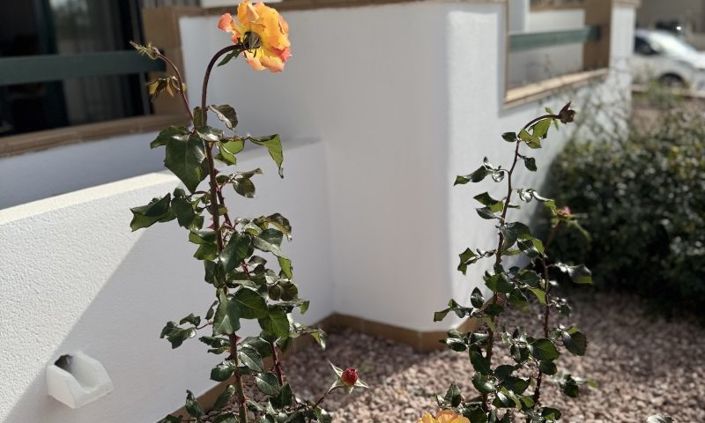 Image No.29-Appartement de 2 chambres à vendre à Orihuela Costa