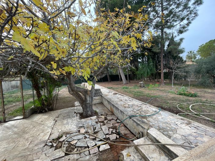 Image No.18-Villa de 4 chambres à vendre à Elche