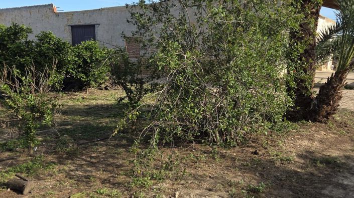 Image No.16-Villa à vendre à Albatera