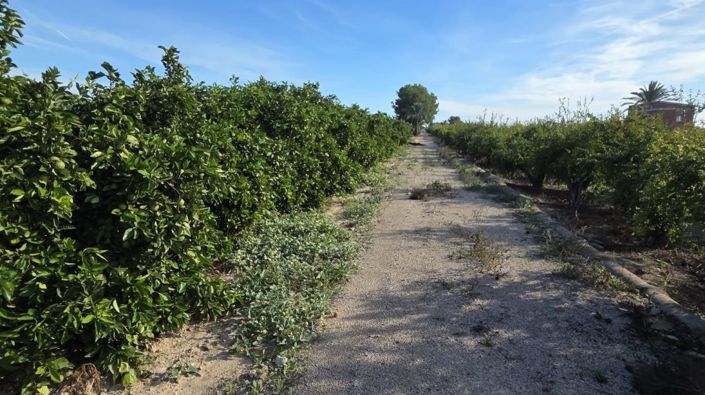 Image No.17-Villa à vendre à Albatera