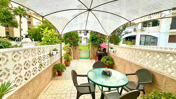 Image No.3-Appartement de 1 chambre à vendre à Torrevieja