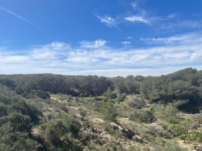 Image No.36-3 Bed Villa for sale