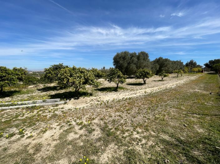 Image No.39-3 Bed Villa for sale