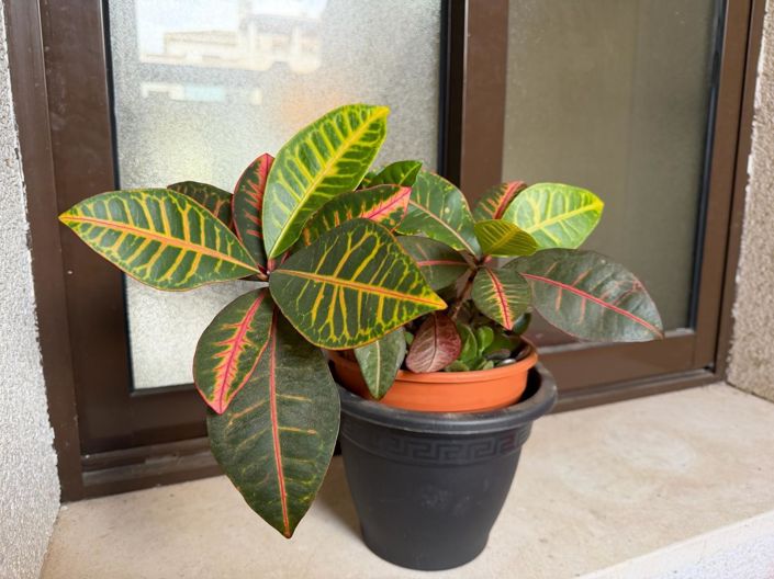 Image No.36-2 Bed Apartment for sale