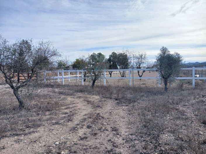 Image No.21-Villa de 3 chambres à vendre à Alicante