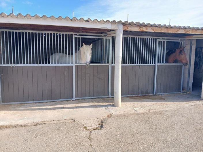 Image No.3-Villa de 3 chambres à vendre à Alicante