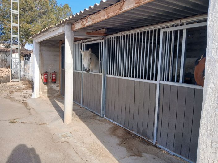 Image No.31-Villa de 3 chambres à vendre à Alicante