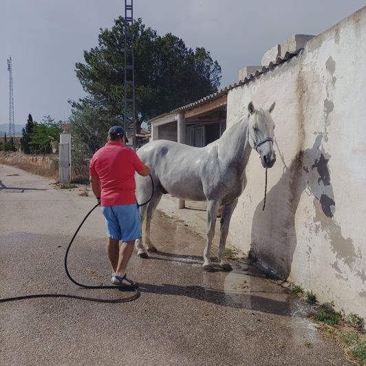 Image No.32-Villa de 3 chambres à vendre à Alicante