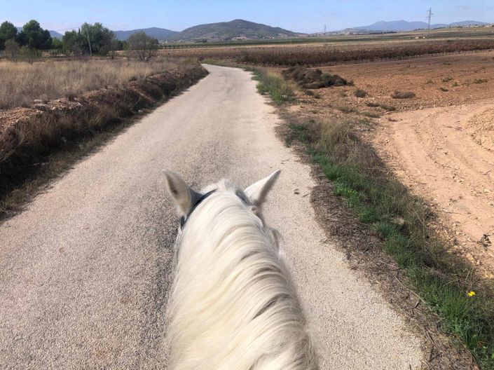 Image No.35-Villa de 3 chambres à vendre à Alicante