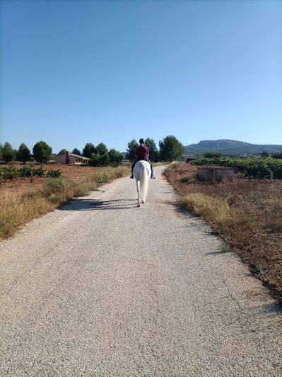 Image No.36-Villa de 3 chambres à vendre à Alicante