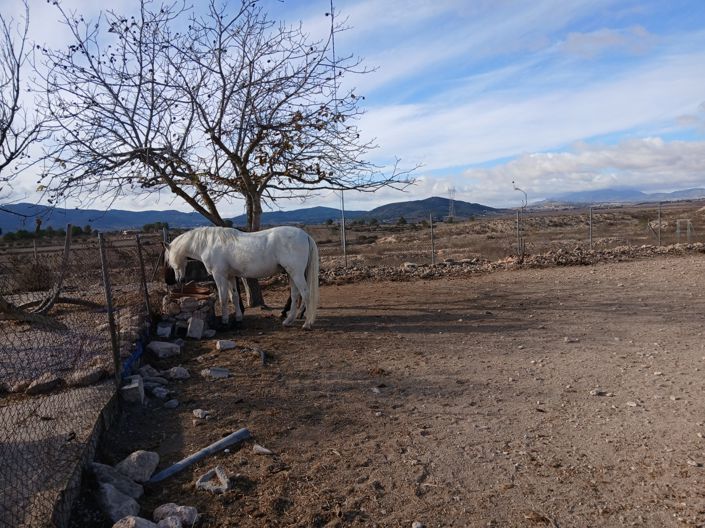 Image No.4-Villa de 3 chambres à vendre à Alicante