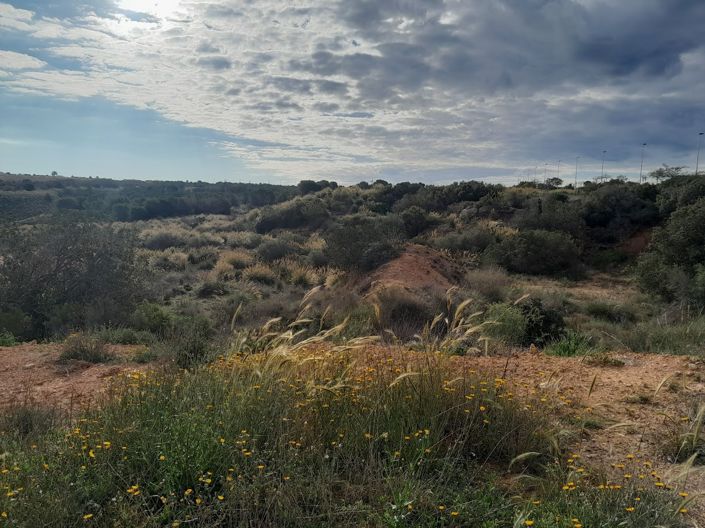 Image No.6-4 Bed Villa for sale