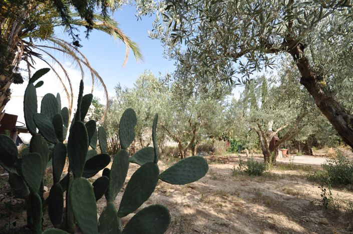 Image No.12-4 Bed Villa for sale