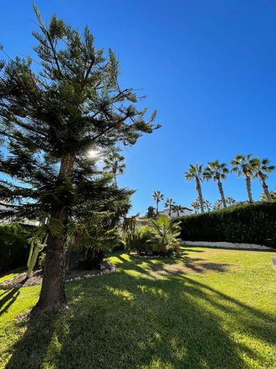 Image No.33-Villa de 3 chambres à vendre à Villamartin