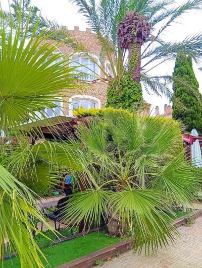 Image No.21-2 Bed Apartment for sale