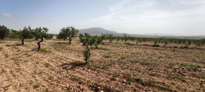 Image No.15-Villa for sale