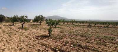 29689-country-house-for-sale-in-pinoso-182170