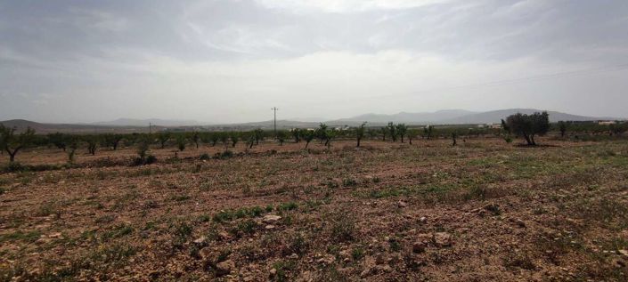 Image No.16-Villa for sale