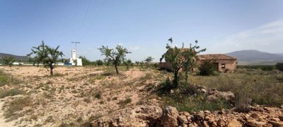 29689-country-house-for-sale-in-pinoso-182169