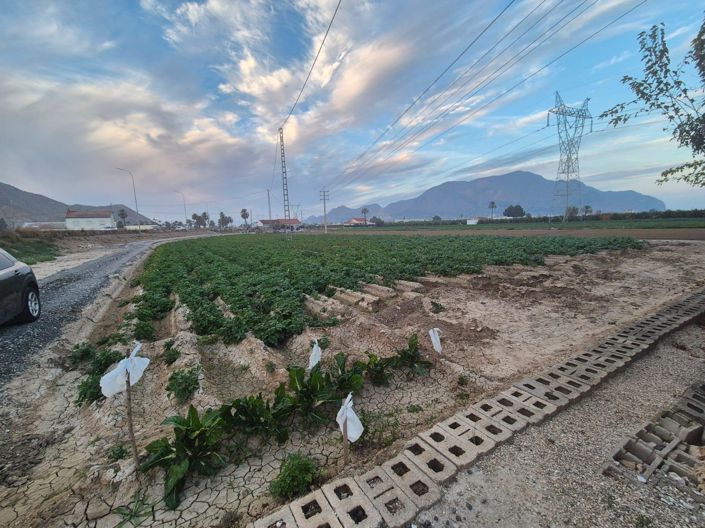 Image No.10-Villa de 3 chambres à vendre à Orihuela