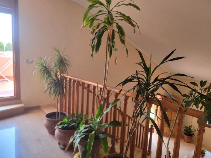 Image No.41-4 Bed Villa for sale