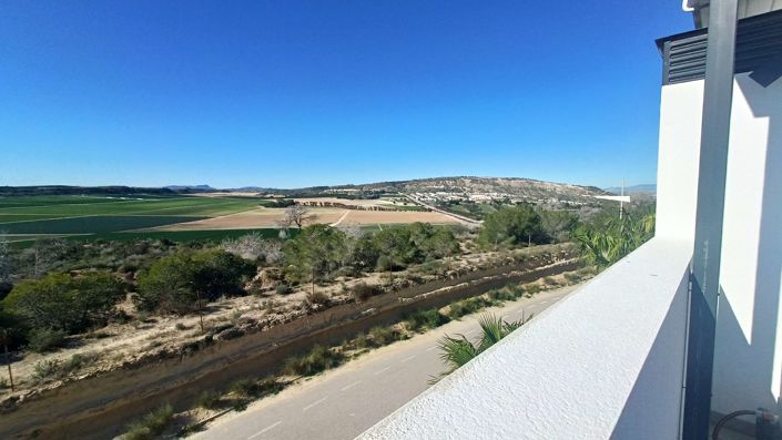 Image No.33-Villa de 3 chambres à vendre à Algorfa