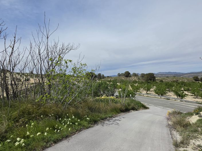 Image No.17-2 Bed Villa for sale