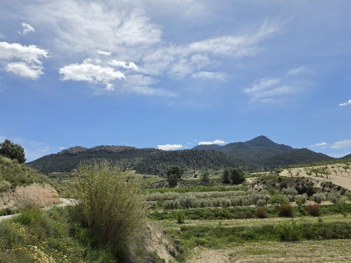 Image No.19-2 Bed Villa for sale