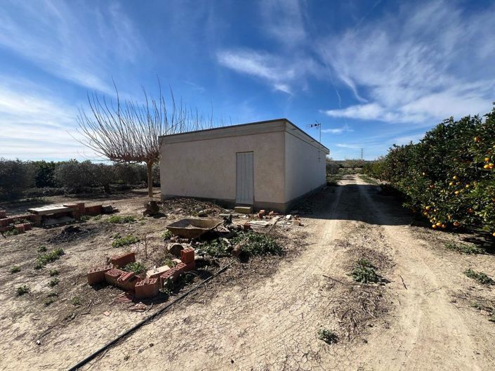 Image No.21-Villa de 1 chambre à vendre à Los Montesinos