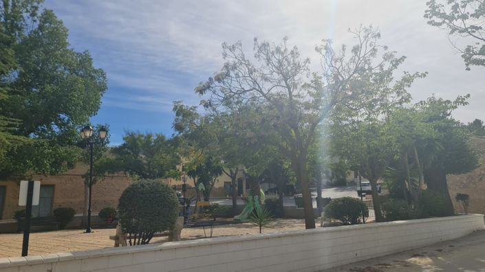 Image No.3-Propriété de 5 chambres à vendre à Pinoso