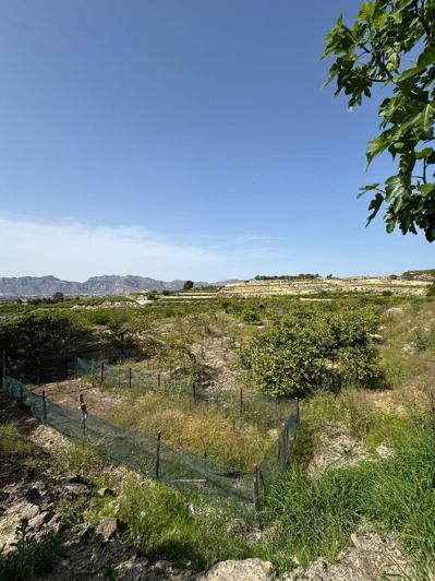 Image No.18-1 Bed Villa for sale