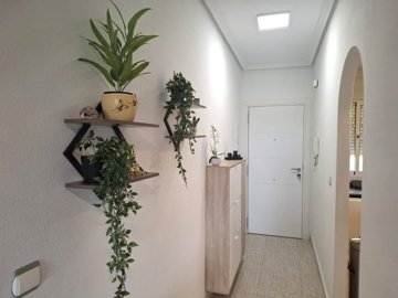 apartment-almoradi-2416-8