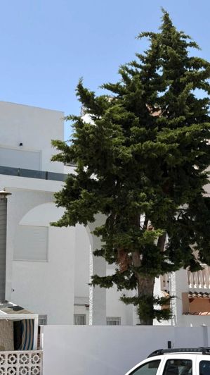 Image No.7-Propriété de 3 chambres à vendre à Torrevieja